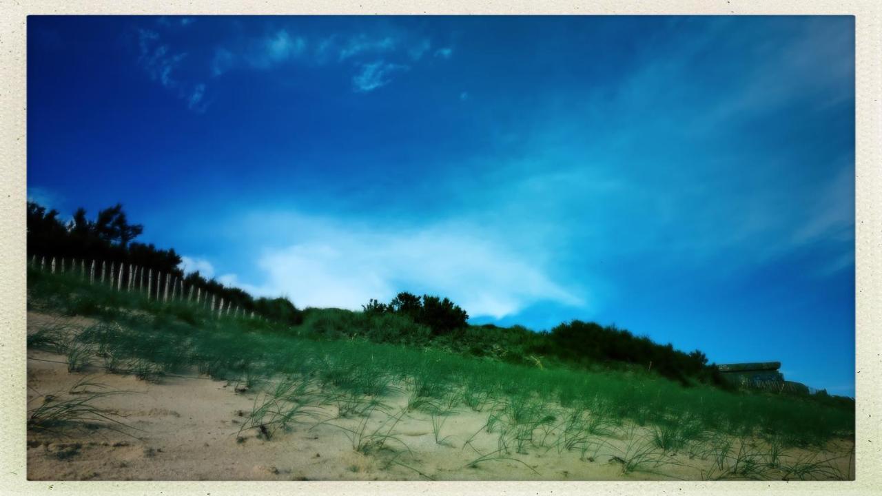 Maison Face Au Soleil เลอบัวส์-ปลาจ-อ็อง-เร ภายนอก รูปภาพ